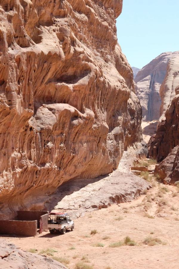 Wadirum Momoo Wadi Rum Eksteriør billede