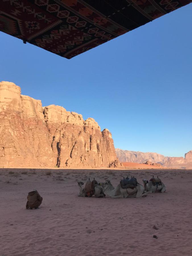 Wadirum Momoo Wadi Rum Eksteriør billede