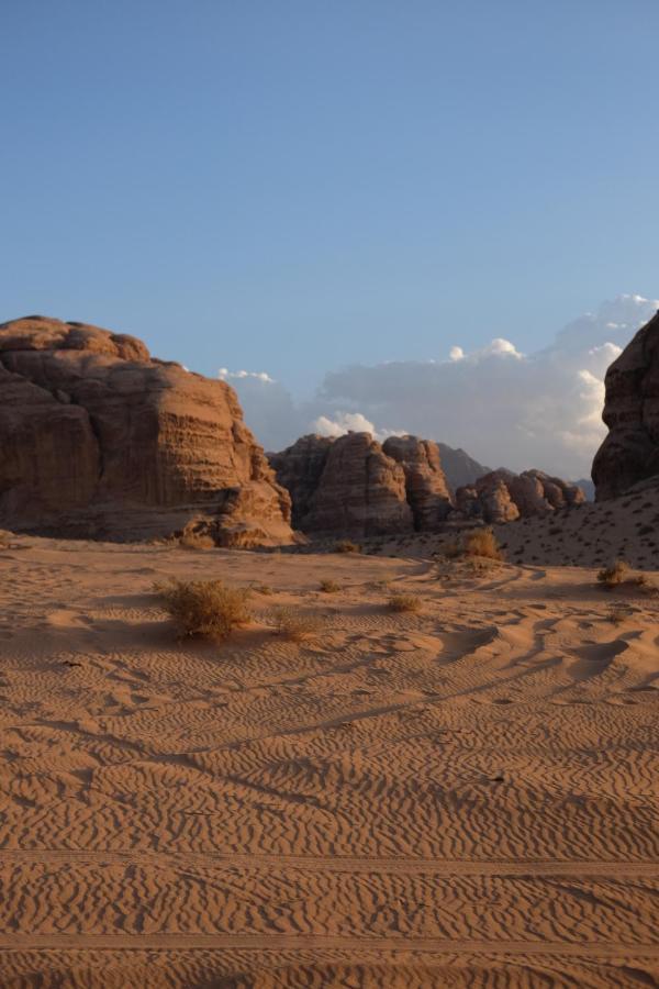 Wadirum Momoo Wadi Rum Eksteriør billede
