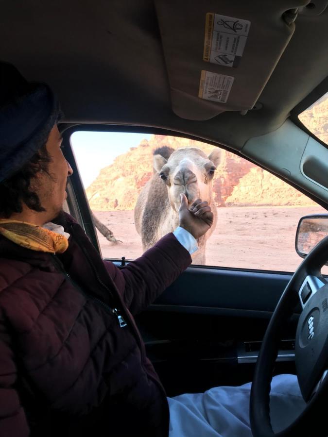 Wadirum Momoo Wadi Rum Eksteriør billede